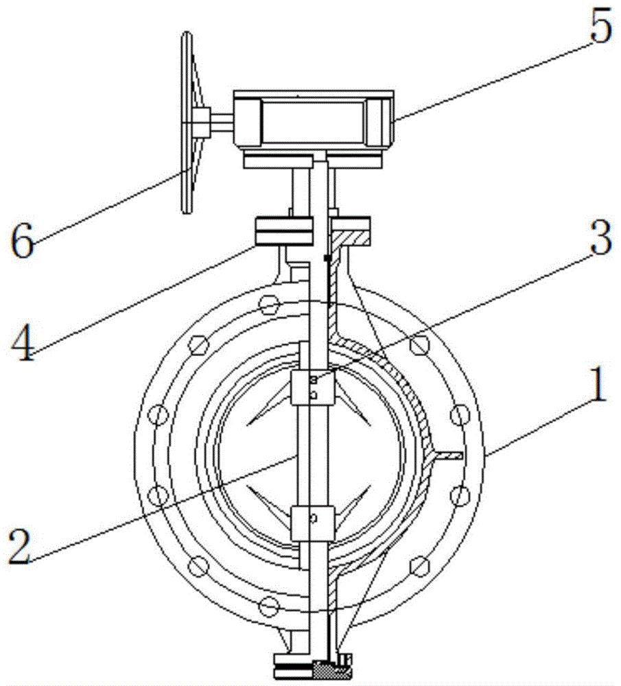 硬密封蝶閥的整體結(jié)構(gòu)示意圖